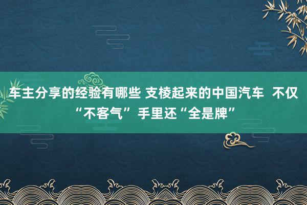 车主分享的经验有哪些 支棱起来的中国汽车  不仅“不客气” 手里还“全是牌”