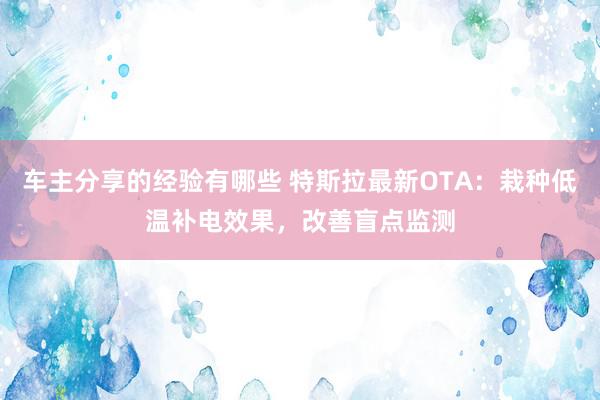 车主分享的经验有哪些 特斯拉最新OTA：栽种低温补电效果，改善盲点监测