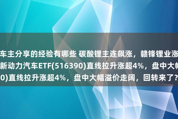 车主分享的经验有哪些 碳酸锂主连飙涨，赣锋锂业涨停、宁德期间涨3%，新动力汽车ETF(516390)直线拉升涨超4%，盘中大幅溢价走阔，回转来了？