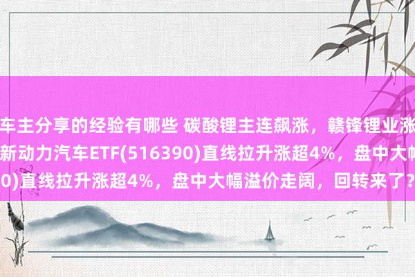 车主分享的经验有哪些 碳酸锂主连飙涨，赣锋锂业涨停、宁德时期涨3%，新动力汽车ETF(516390)直线拉升涨超4%，盘中大幅溢价走阔，回转来了？