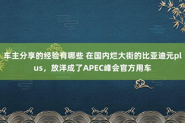 车主分享的经验有哪些 在国内烂大街的比亚迪元plus，放洋成了APEC峰会官方用车