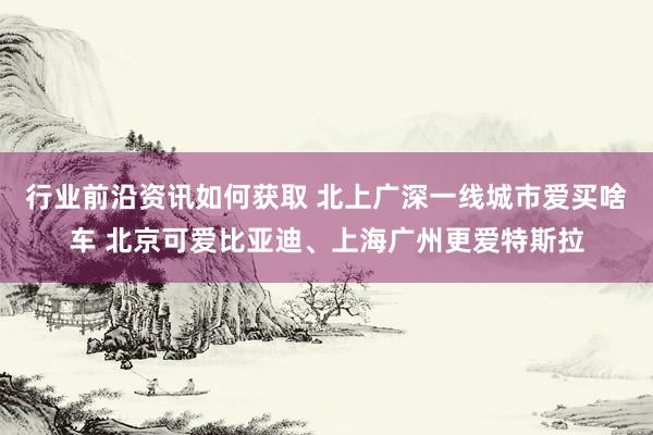 行业前沿资讯如何获取 北上广深一线城市爱买啥车 北京可爱比亚迪、上海广州更爱特斯拉