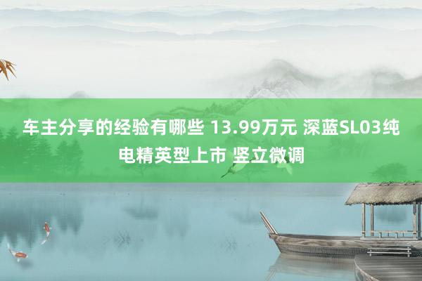 车主分享的经验有哪些 13.99万元 深蓝SL03纯电精英型上市 竖立微调