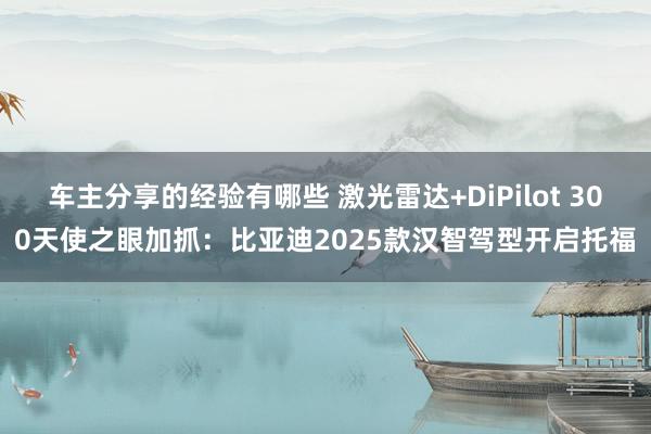 车主分享的经验有哪些 激光雷达+DiPilot 300天使之眼加抓：比亚迪2025款汉智驾型开启托福