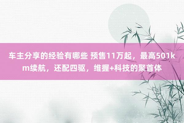 车主分享的经验有哪些 预售11万起，最高501km续航，还配四驱，维握+科技的聚