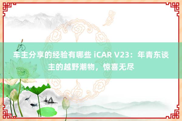 车主分享的经验有哪些 iCAR V23：年青东谈主的越野潮物，惊喜无尽