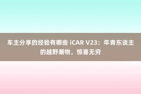 车主分享的经验有哪些 iCAR V23：年青东谈主的越野潮物，惊喜无穷