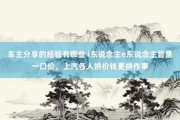 车主分享的经验有哪些 i东说念主e东说念主皆是一口价，上汽各人拼价钱更拼作事