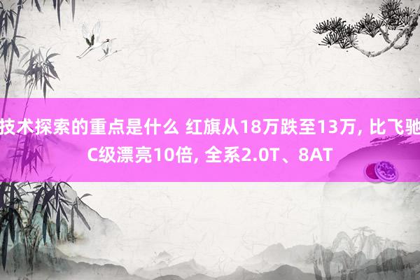 技术探索的重点是什么 红旗从18万跌至13万, 比飞驰C级漂亮10倍, 全系2.