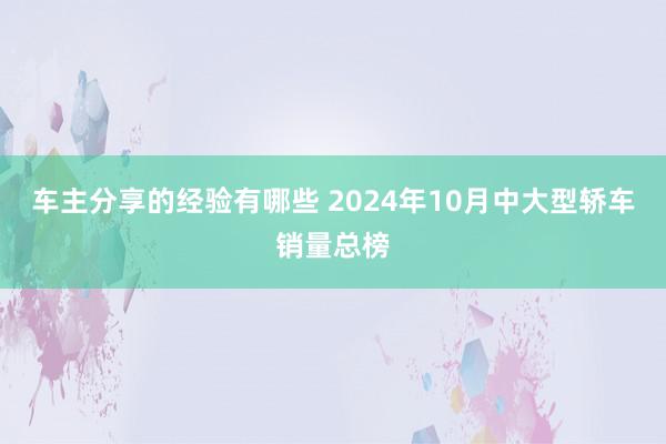 车主分享的经验有哪些 2024年10月中大型轿车销量总榜