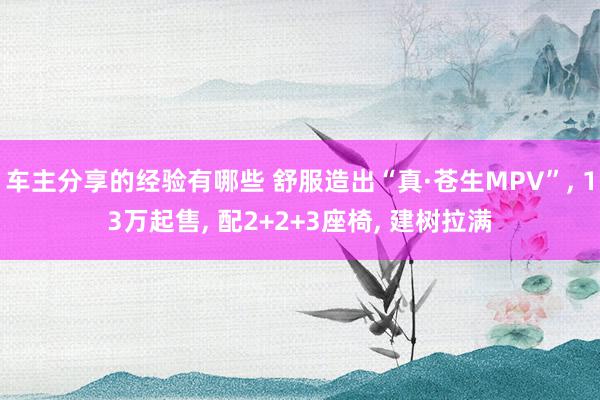 车主分享的经验有哪些 舒服造出“真·苍生MPV”, 13万起售, 配2+2+3座椅, 建树拉满