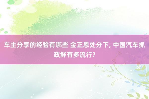 车主分享的经验有哪些 金正恩处分下, 中国汽车抓政鲜有多流行?